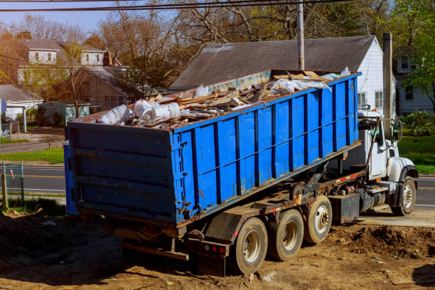 Best Shed Removal  in Norwalk, IA